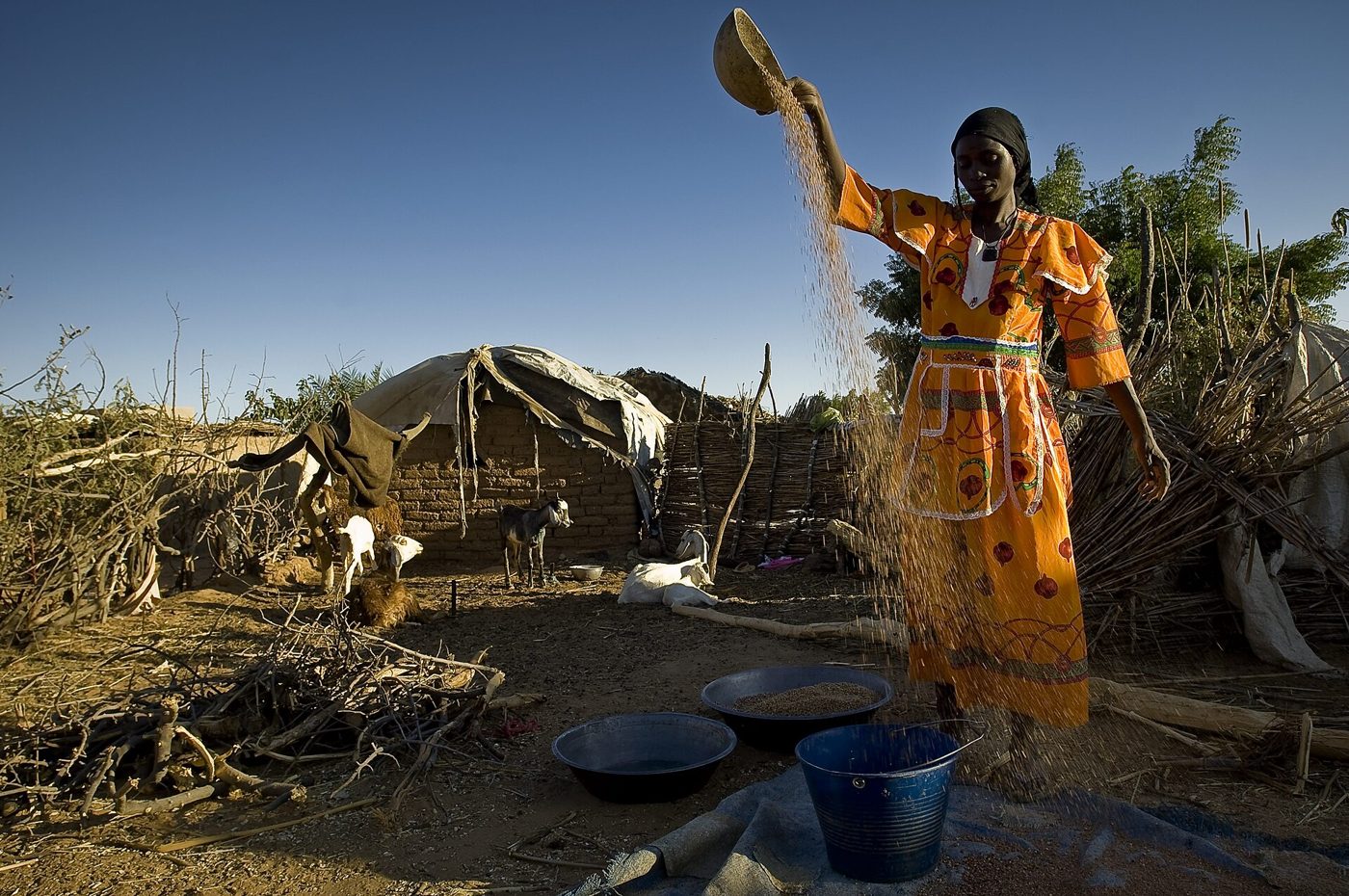 Amtiman : PARDON-International et le CNCPRT posent les bases d'un partenariat pour le monde rural